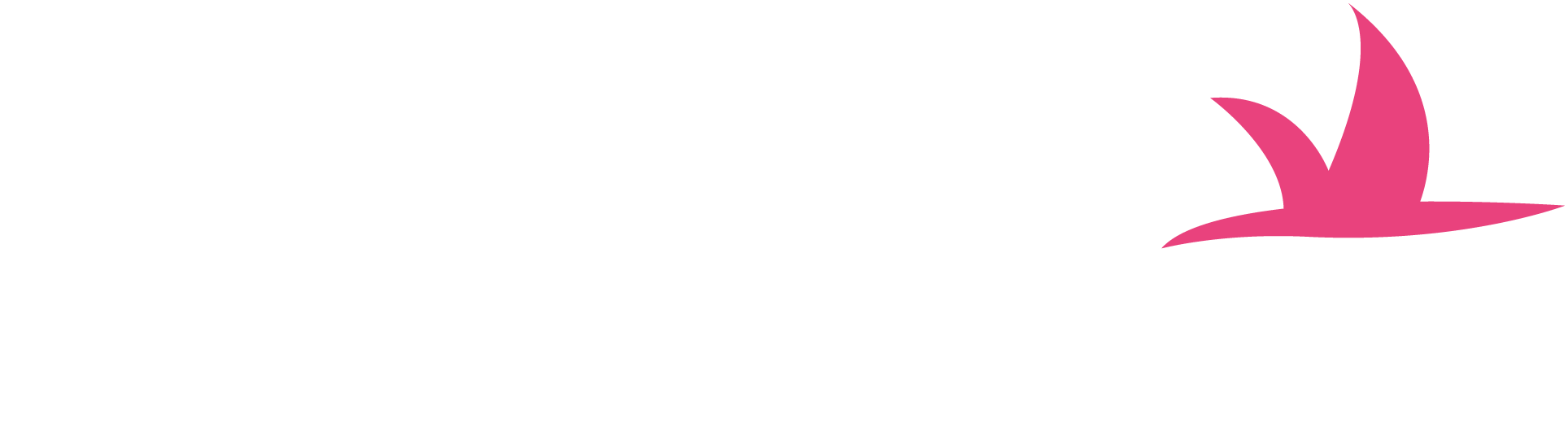 Aero Mate